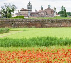 Dalla natura all'arte, guardando Sabbioneta - un bellissimo tappeto di fiori ci introduce a una visione del centro storico di Sabbioneta, splendida cittadina del mantovano recentemente dichiarata ...