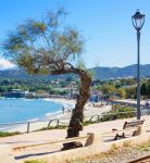  La bella spiaggia cittadina di Isola Rossa, L'Ile Rousse in Corsica - © RnDmS / Shutterstock.com 