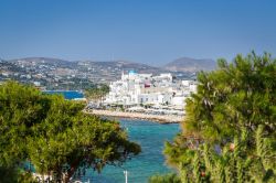 Vista panoramica su Parikia, a Paros, suggestivo villaggio la cui storia iniziò nell'antichità come dimostrato anche dai ritrovamenti dislocati in tutto il territorio. Grazie ...