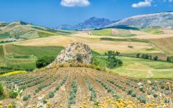 Paesaggio nei dintorni della cittadina di Corleone in Sicilia - © Rolf_52 / Shutterstock.com