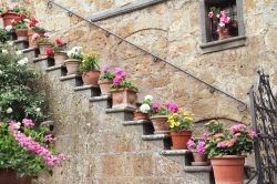 Decorazioni floreali in una casa di Civita di Bagnoregio, Lazio. Generosa in tutte le sue forme, la natura impreziosisce con fioriture e colori dalle mille tonalità il sasso con cui sono ...