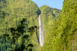 La cascata bianca nel territorio di Salazie, Reunion Isole Mascarene. Questo angolo di Francia d'oltremare ospita una natura rigogliosa con flora e fauna rare e in qualche caso uniche al ...
