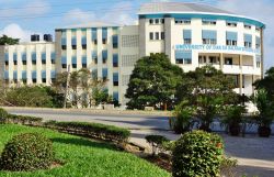 Università di Dar es Salaam, Tanzania - Uno dei cinque campus dell'Università di Dar es Salaam: fra quelli ospitati in città uno si trova nel quartiere di Mlimani © ...
