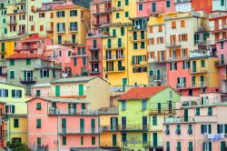 Tradizionali abitazioni colorate di Manarola, Cinque Terre, Liguria. Un particolare del borgo ligure caratterizzato da case torre con le facciate dalle tante sfumature pastello. 
