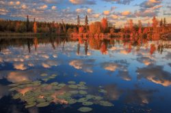 Autunno sul Hidden Lake area proptetta neiTerritori del Nord-Ovest in Canada