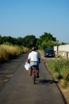 Le campagne intorno a Velletri nel Lazio - © Franco Volpato/ Shutterstock.com