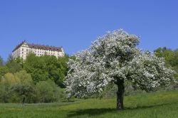 Primavera a Uberlingen e il suo castello sul Lago di Costanza - © footageclips / Shutterstock.com