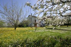 Le campagne intorno a Gazzola fotografate in primavera - © Luca Grandinetti / Shutterstock.com