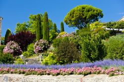 Giardini nella cittadina di Gordes, Francia - Durante i mesi primaverili e estivi Gordes si colora di mille sfumature grazie ai giardini che impreziosiscono il villaggio © PHB.cz (Richard ...