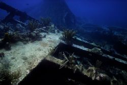 R.M.S Rhone il relitto affondato nella acque antistanti Salt Island alle British Virgin Islands - © bcampbell65 / shutterstock.com