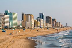 Skyline degli edifici lungomare di Virginia Beach, stato della Virginia (USA) - © Sherry V Smith / Shutterstock.com