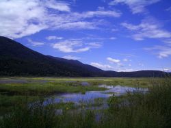 Il lago effimero di Cerknica (Circonio), Slovenia - Una bella vegetazione rigogliosa circonda il lago temporaneo di questo angolo di Slovenia
