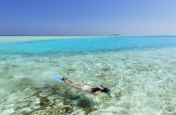 Snorkeling nella laguna di Rasdhoo Island,il mare limpido delle Maldive
