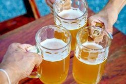 Solesino, Veneto: la Beer Fest, la grande festa della birra