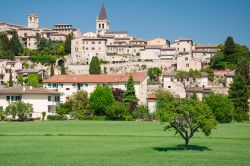 Il borgo di Spello nella stagione estiva, Umbria.
