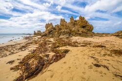 Sperone roccioso alla fine di Point Roadknight nei pressi di Torquay, Australia. Siamo nella Great Ocean Road nel Victoria, spettacolare regione che offre scorci paesaggistici incantevoli.




 ...