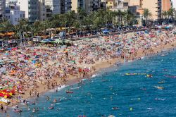 Spiaggia a Lloret de Mar, Catalogna, Spagna - Non si può certo dire che sia una località per chi cerca una vacanza all'insegna del relax. Nei mesi estivi, le spiagge di Lloret ...