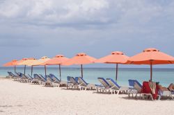 Relax sulla spiaggia tropicale di Flic en Flac, isola di Mauritius - Ombrelloni e sdraio in questo tratto di costa attrezzata con tutti i comfort per godersi il relax al sole © Gowtum / ...