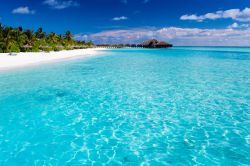Acqua azzurra, spiaggia di sabbia bianca, palme ...
