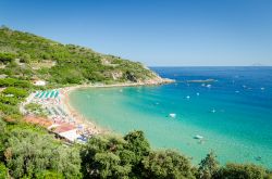 Cavoli, isola d'Elba. Particolarmente frequentata d'estate questa spiaggia si trova in una baia riparata aperta solo alle correnti di su ovest, caratteristica che la rende apprezzata ...