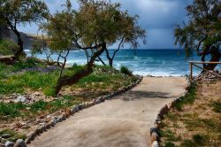 Spiaggia con alberi di ulivi a Santa Caterina di Pittinuri, costa ovest della Sardegna