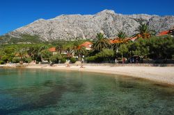 Spiaggia con palmeto nella città di Orebic, Croazia. Sullo sfondo, montagne brulle abbracciano questa località della Dalmazia.

