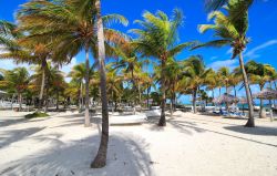 Spiaggia dell'hotel Melia a Cayo Guillermo, Cuba.