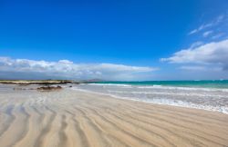 Spiaggia deserta alle Galapagos, Isla Isabela. La caratteristica forma di quest'isola è il risultato della fusione di sei grandi vulcani che si sono uniti fra di loro formando un'unica ...