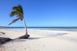 Una splendida spiaggia deserta a Cayo Guillermo (Jardines del Rey), Cuba.