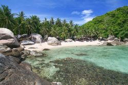 Una spiaggia deserta ideale per snorkeling a Koh Tao, Thailandia. Koh Tao è la meta prediletta per chi ama praticare immersioni subacquee, snorkeling e sport acquatici - © Andrzej ...