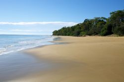 Una spiaggia di Hervey Bay, Australia. Questa graziosa città storica del Queensland vanta ben 14 km di spiagge dorate.
