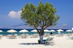 La spiaggia sabbiosa di Mastichari con ombrelloni e lettini, isola di Kos (Grecia)  - © wjarek / Shutterstock.com
