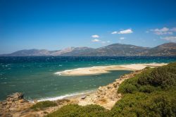 Spiaggia di sabbia a Eubea, Grecia - Una delle numerose spiagge che circondano l'isola: questa di finissima sabbia color oro è immersa in una natura verde e rigogliosa © siete_vidas ...