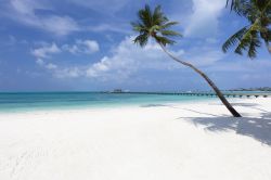 Una grande spiaggia di sabbia bianca presso un ...