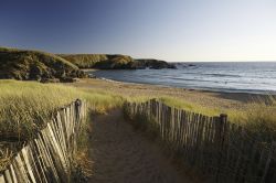 Una spiaggia di sabbia e vegetazione sulla costa bretone di Belle Ile en Mer, Francia.



