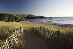 Una spiaggia di sabbia e vegetazione sulla costa bretone di Belle Ile en Mer, Francia.



