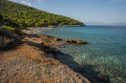 Spiaggia di Scala, Grecia, nell'omonima cittadina. L'isola di Angistri è la meta ideale per chi cerca nel golfo Saronico relax ma anche avventura e paesaggi selvaggi - © ...