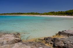 La spiaggia di Son Saura a Minorca, Isole Baleari, Spagna. E' una delle spiagge più belle e selvagge dell'isola: lunga 300 metri, è situata sul versante sud orientale e ...