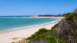 Spiaggia di Torquay, nel Victoria, Australia. Vegetazione rigogliosa, sabbia finissima e acqua cristallina caratterizzano questo affascinante territorio australiano.
