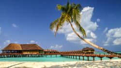 Spiaggia e bungalow su di una isola dell'Atollo di Noonu alle Maldive
