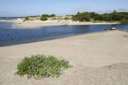 Spiaggia e foce fluviale a Sventoji in Lituania - © Bildagentur Zoonar GmbH / shutterstock.com
