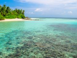 Una bella spiagga sull'isola di Asdu (Ashdu), all'interno dell'Atollo di Malé Nord (North Malé), Isole Maldive - foto © Shutterstock.com