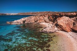 Spiaggia di Comino, Malta - E chi non vorrebbe immergersi in un mare così? D'estate Comino è forse un pò troppo affollata ma anche chi vuole godersi la quiete non può ...