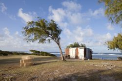 L'isola di Rodrigues, Repubblica di Mauritius. Questa piccola isoletta appartenente alla Repubblica di Mauritius, di cui è una dipendenza, si trova nel bel mezzo dell'Oceano Indiano. ...