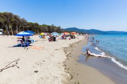 Spiaggia lbera a Marina di Alberese in Toscana - © Oscity / Shutterstock.com