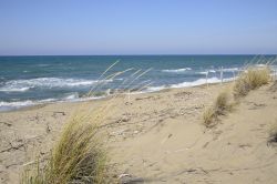 Spiaggia libera a Principina a Mare in Maremma, provincia di Grosseto