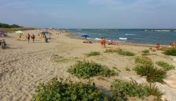 La bella spiaggia libera di Casalborsetti (Ravenna), ...