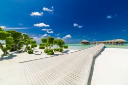 La spiaggia del Lux Maldives Resort presso l'atollo di Ari Sud, Maldive - foto © Shutterstock.com