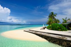Una spiaggia lambita dal mare cristallino dell'Atollo di Malé Sud, isole Maldive, Oceano Indiano  - foto © Shutterstock.com
