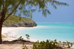 Paradiso in tutti i sensi, sia per le sue spiagge bianche che per la vegetazione lussureggiante e le possibilità di birdwatching tra grandi stormi di fenicotteri, l'isola di North ...